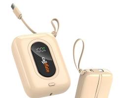 High-Capacity Fast Charging Power Banks (20,000mAh+)