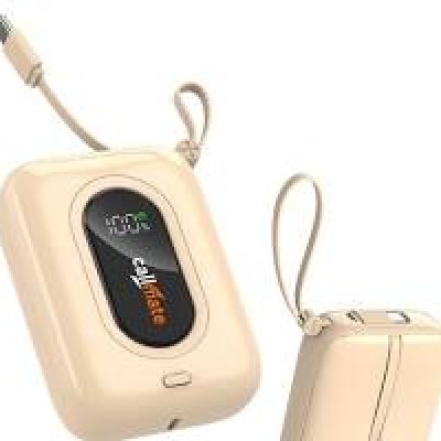 High-Capacity Fast Charging Power Banks (20,000mAh+)